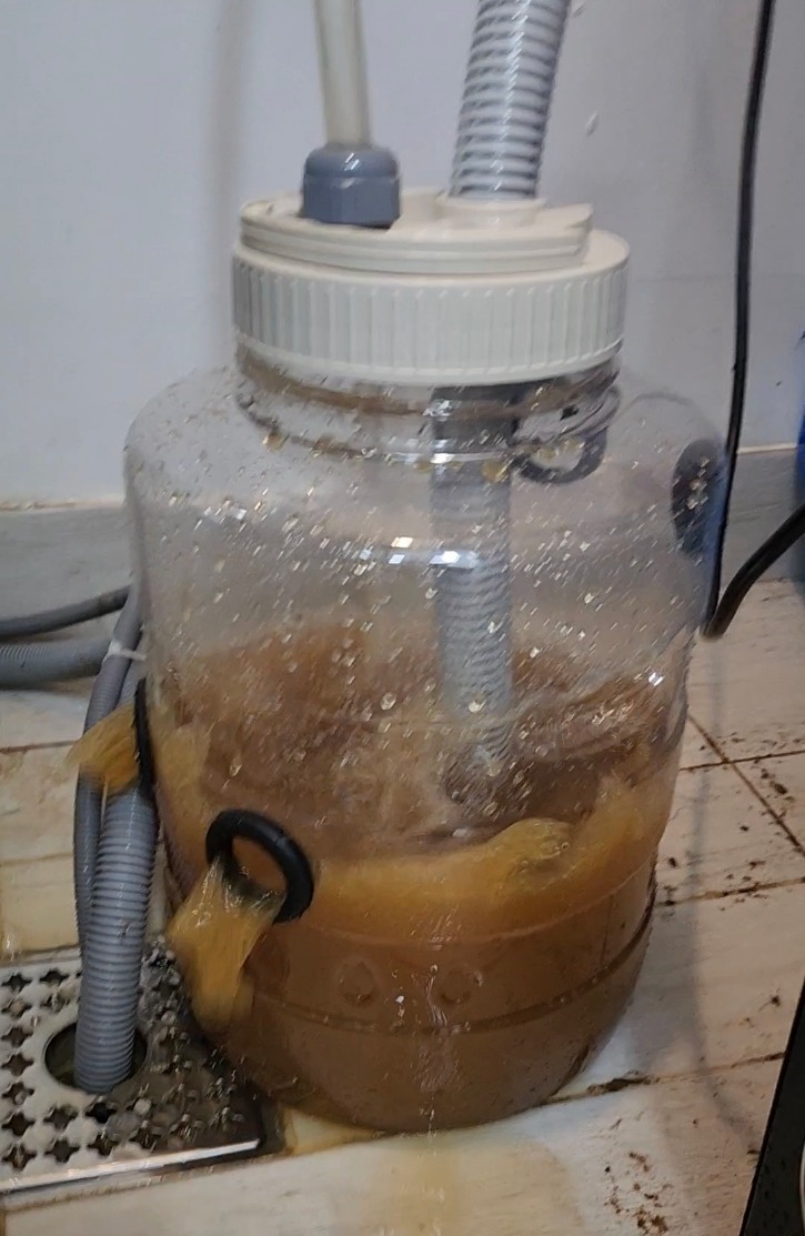 KakaoTalk_20250123_162832295.jpg